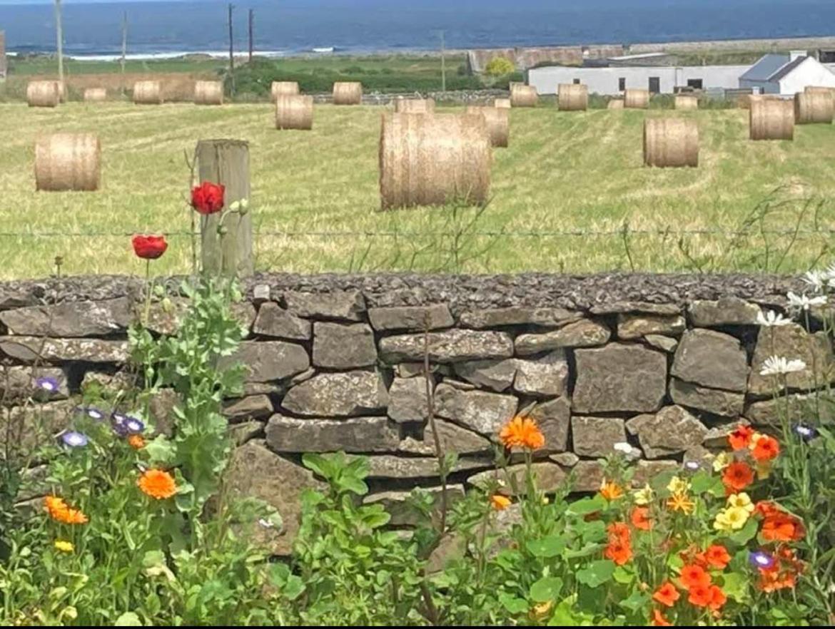 Wild Atlantic View Sligo Exterior foto